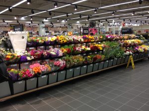 Watford Flowers - focussing on Fresh.