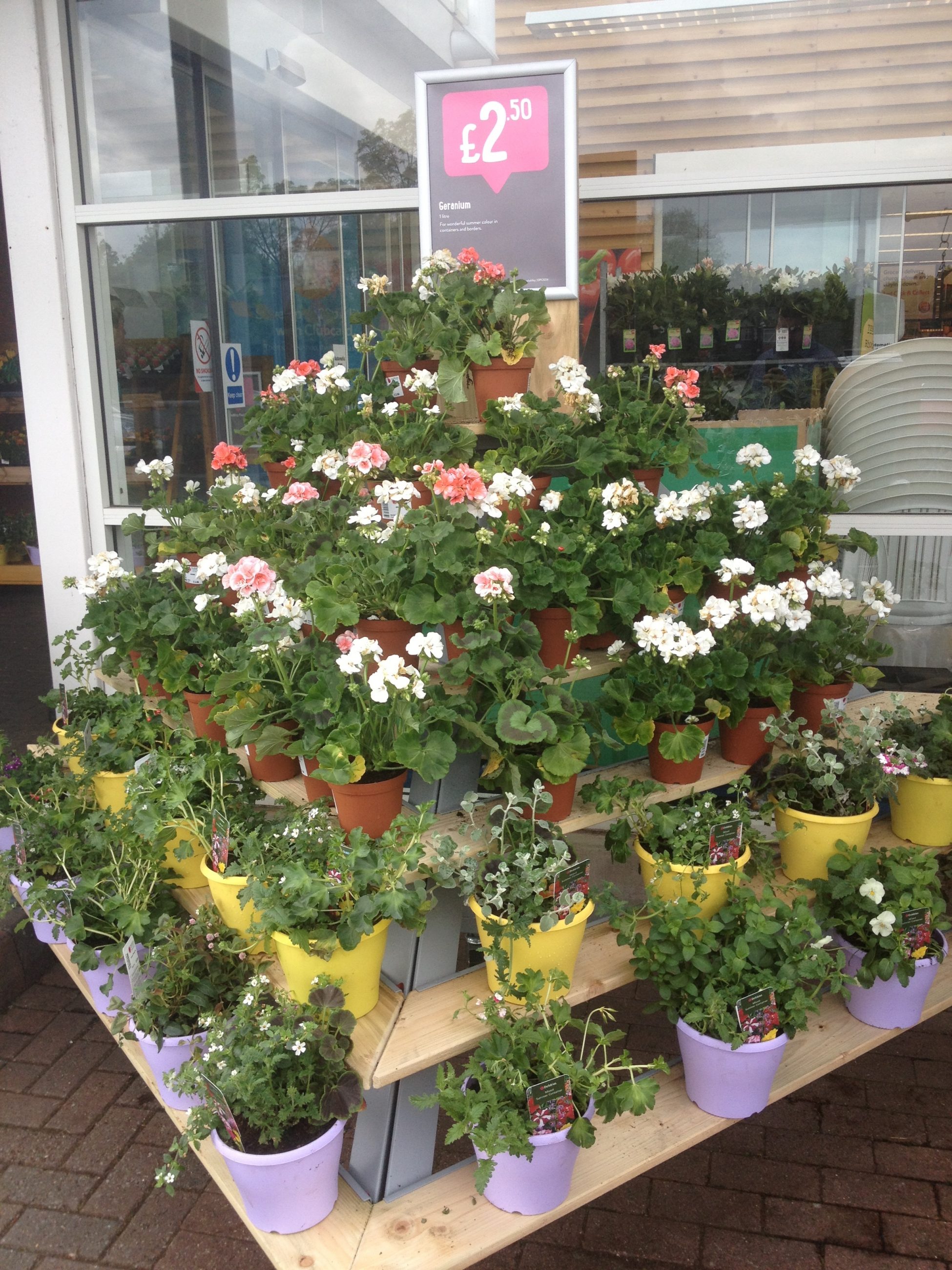 A range of plants outside the Prestwich store in Manchester.